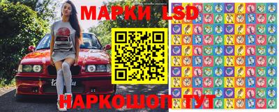 гидра Владикавказ