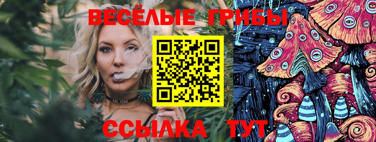 Галлюциногенные грибы ЛСД  Псилоцибиновые грибы мухоморы  Гудермес  купить закладку  Вход с VPN 